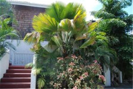 Fort Recovery Villa Suites Hotel Freshwater Pond Extérieur photo